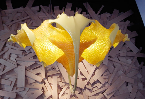 MGX evolution collection at moss, new york