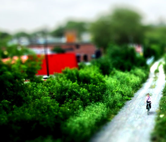 'tiger tiger' by the practice of everyday design