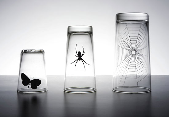 butterfly and spider glass set by propaganda