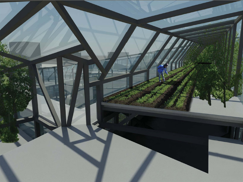 growingcity: urban agriculture