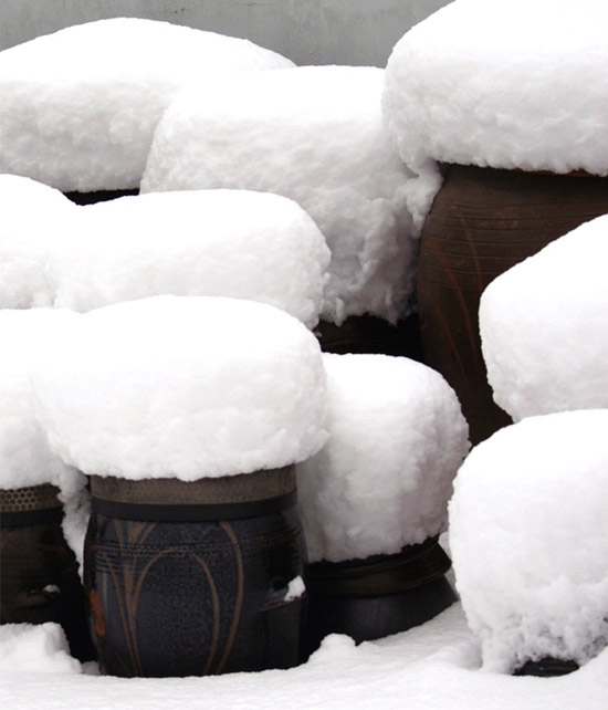 baek ki kim: snow stools