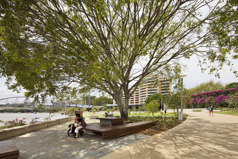 cardno s.p.l.a.t. & arkhefield: 'river quay' south bank parklands brisbane - 3