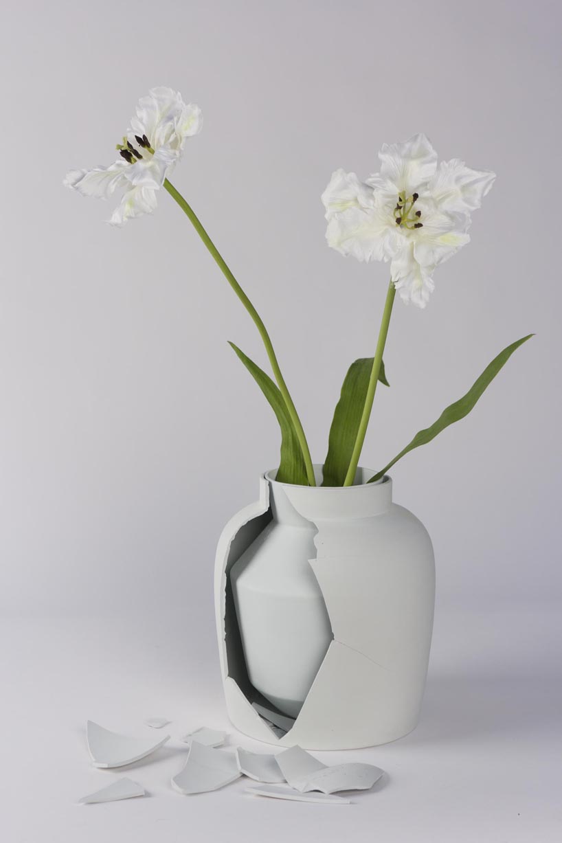 mianne de vries: curious vase experiment