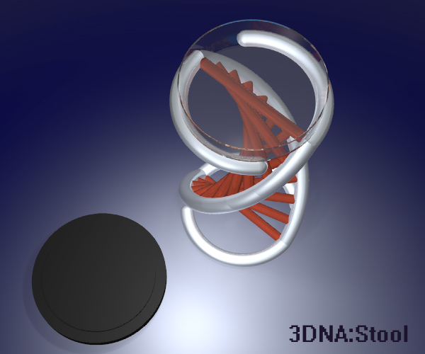 3dna_stool3_copy.jpg