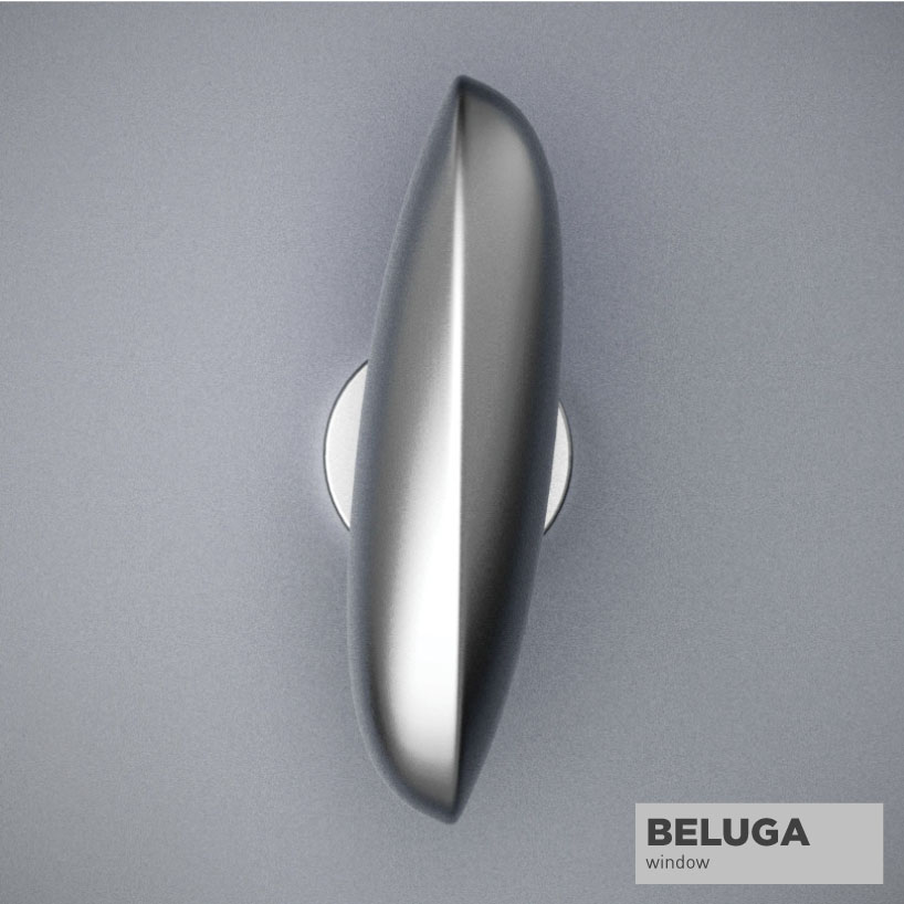 beluga_2.jpg