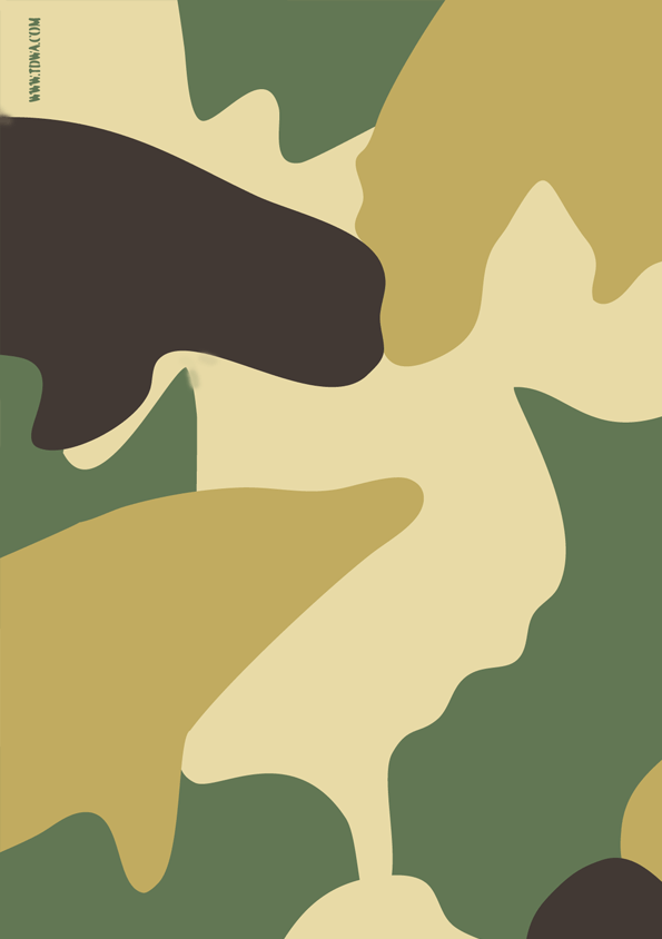 camouflage3.gif