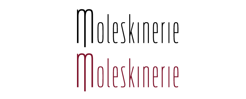 copy_0_logo_mol3.jpg