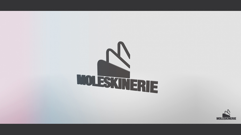 copy_0_moleskinmoleskinemoleskinerie_1.jpg