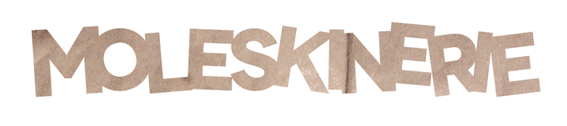 copy_12_moleskinerie3.jpg