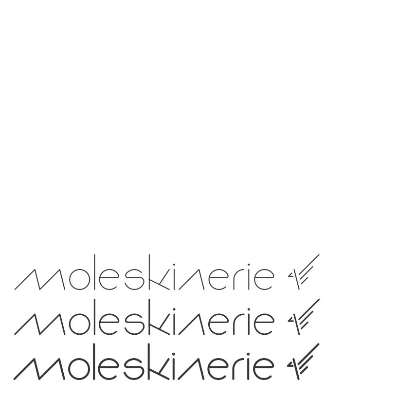 copy_14_moleskinerie_2.jpg