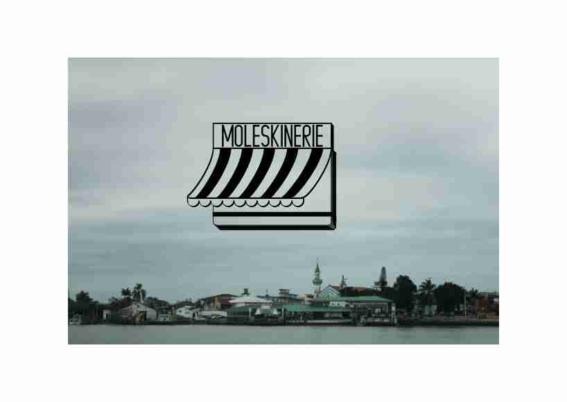 copy_24_moleskinerie_2.jpg