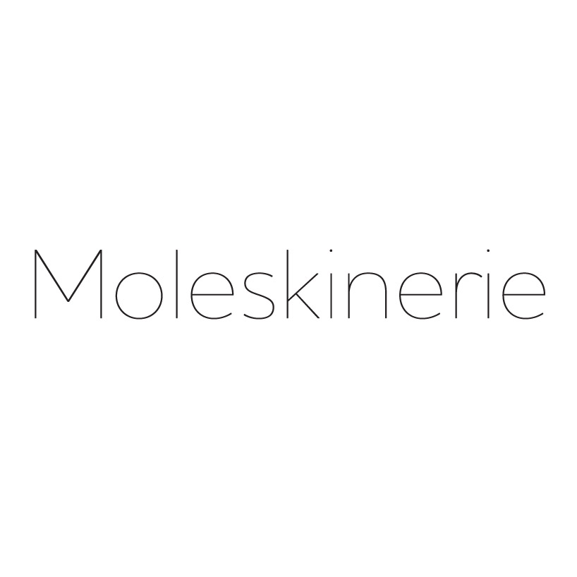 copy_2_moleskinerie_logo2.jpg