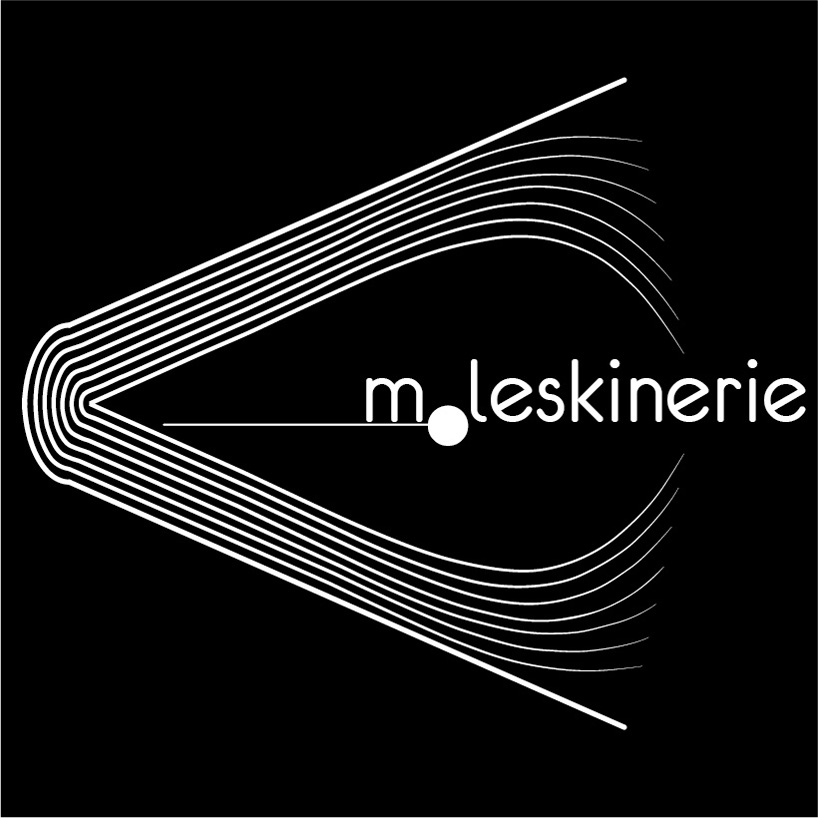copy_2_moleskinerie_logo_3.jpg