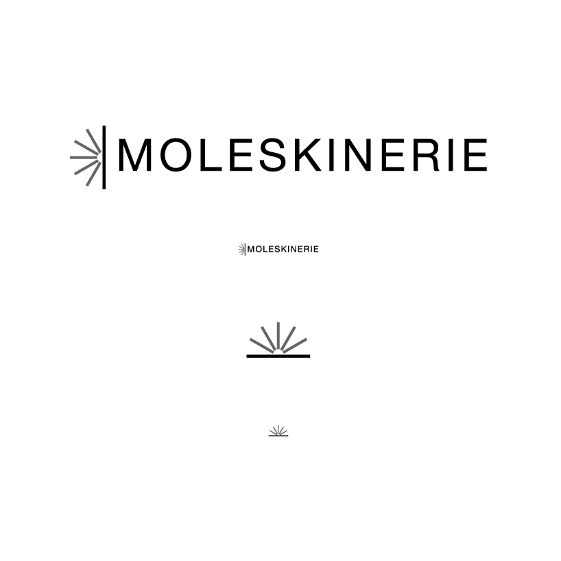 copy_36_moleskinerie3.jpg