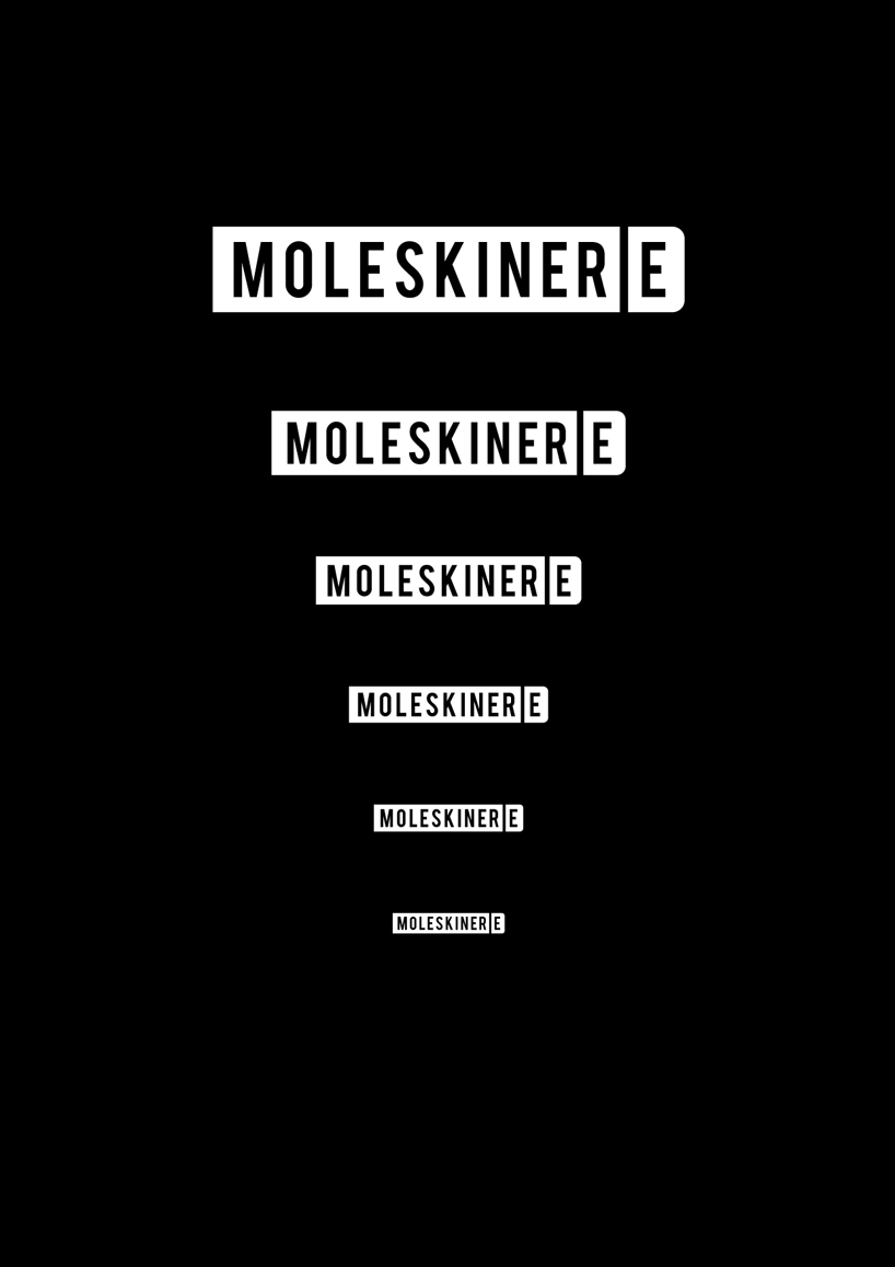 copy_6_moleskinerie4.jpg
