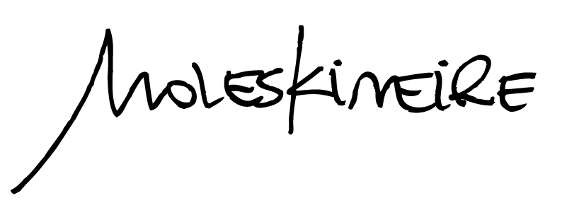 copy_8_moleskinerie_logo_2.jpg
