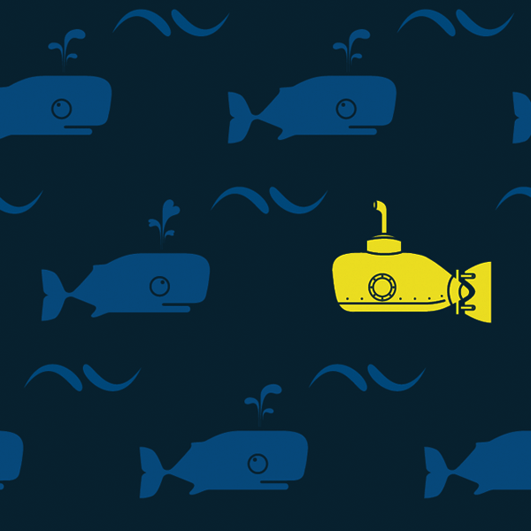 detailofthepattern.gif