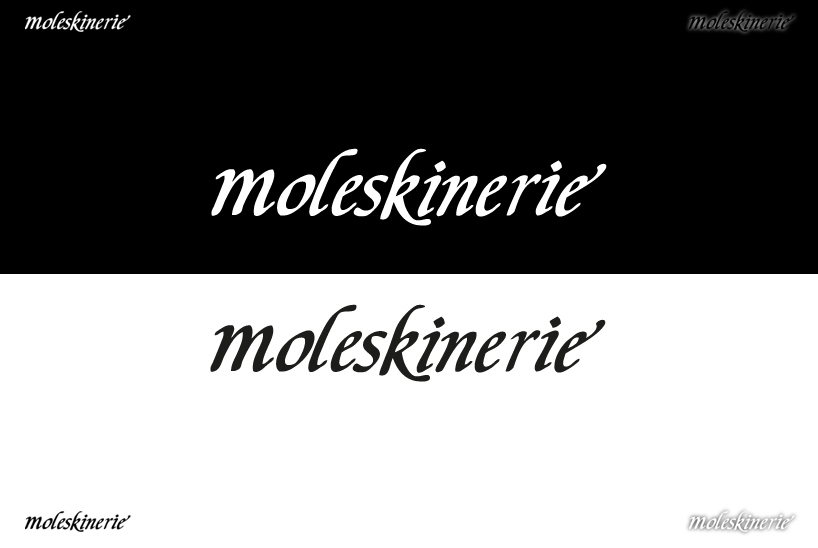 ffmoleskinerie2.jpg
