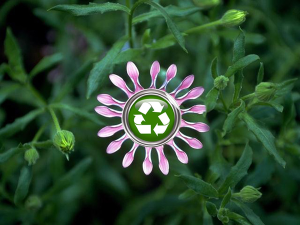 flower_of_green_life.jpg