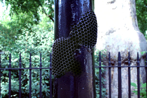 lamp_post_detail.jpg