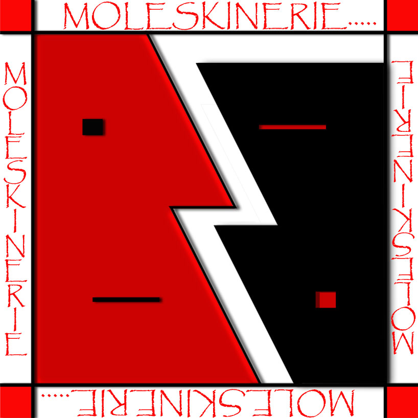 logo_moleskina_1.jpg
