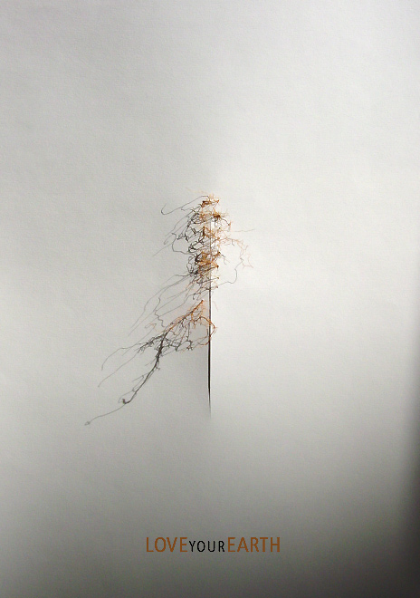 loveyourearth02.jpg