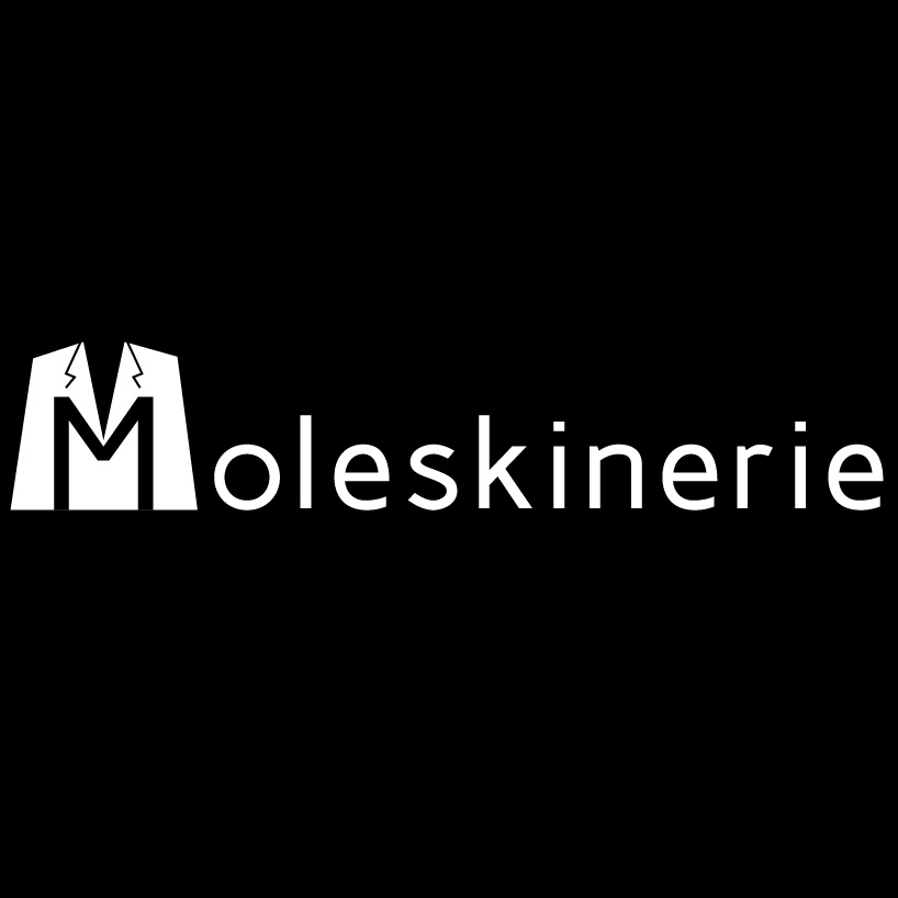 moleskienrie401.jpg