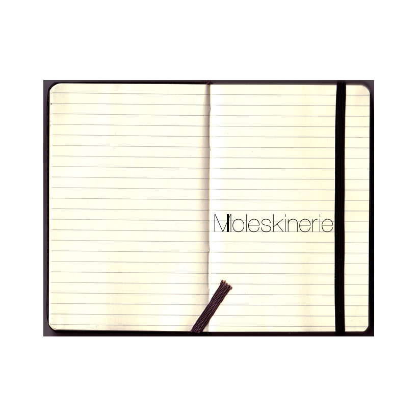 moleskine_caderno.jpg
