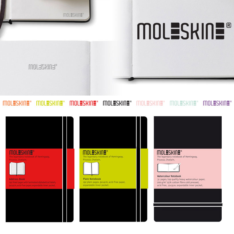 moleskine_frensziart.jpg