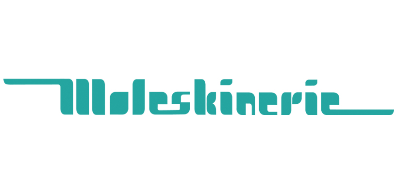 moleskinerie.teal.jpg