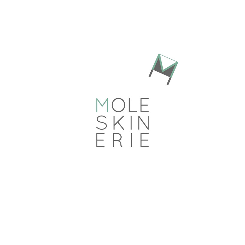 moleskinerie03.jpg