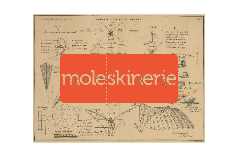 moleskinerie105.jpg