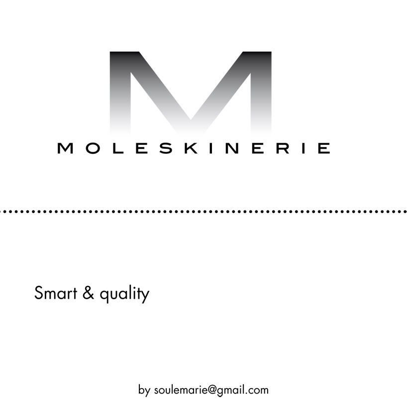 moleskinerie13.jpg