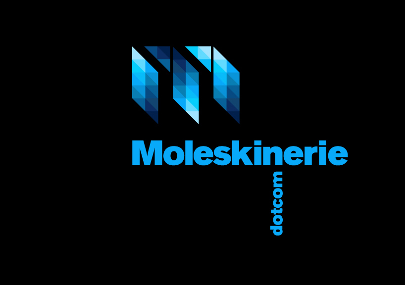 moleskinerie1_3a.jpg