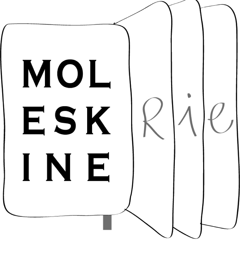 moleskinerie3bn.jpg