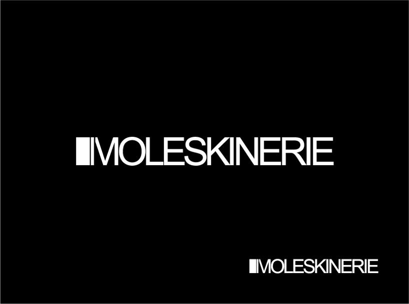 moleskinerie_102.jpg