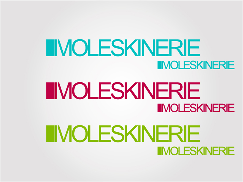 moleskinerie_103.jpg