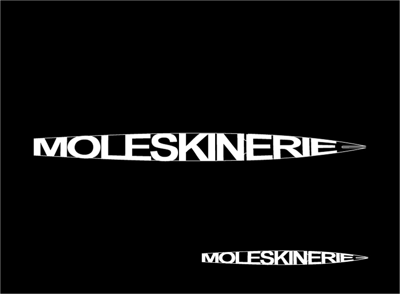 moleskinerie_202.jpg