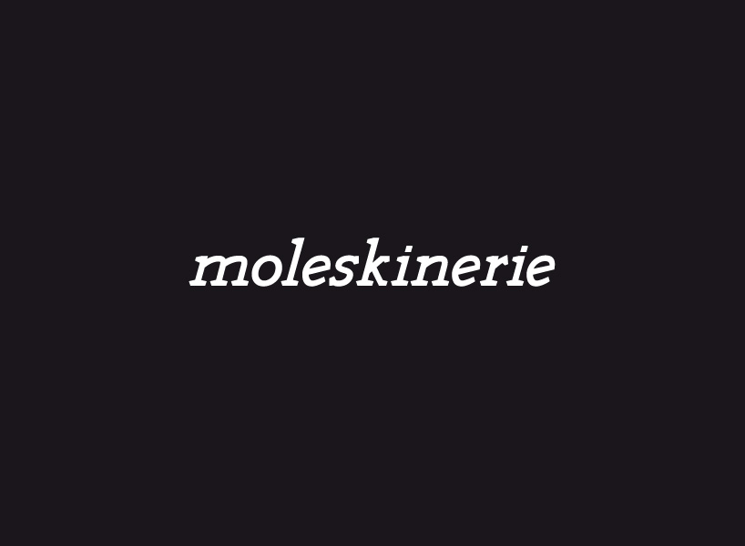 moleskinerie_3_2.jpg