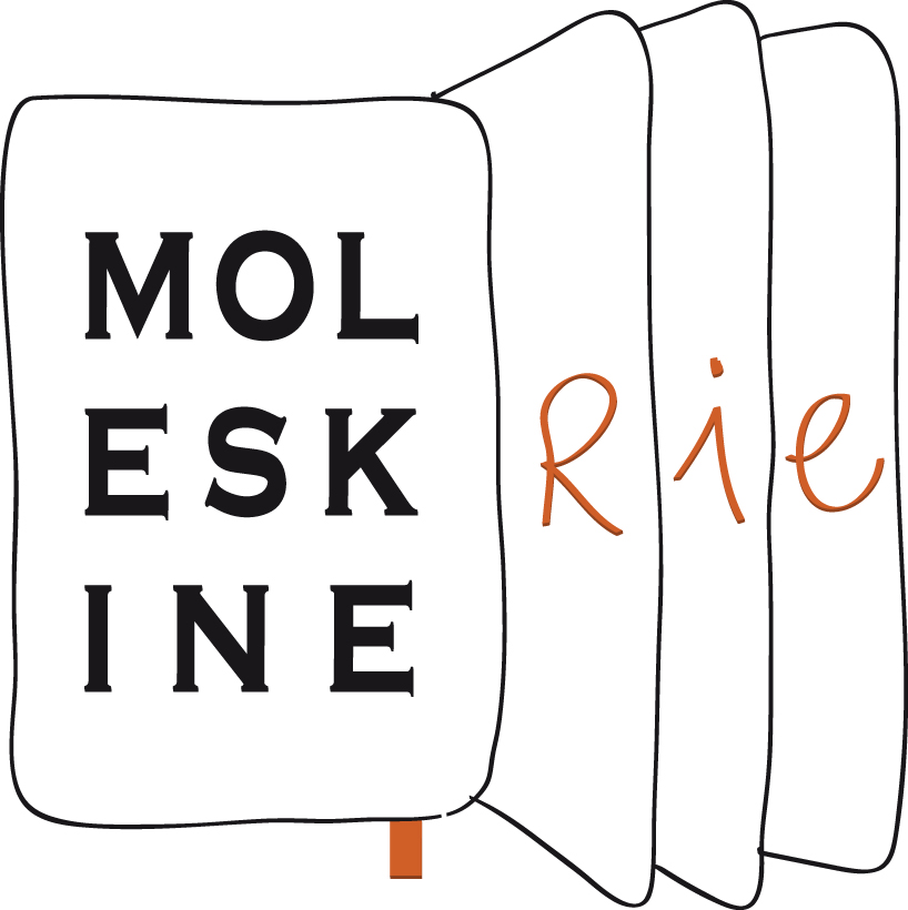 moleskinerie_3_3d.jpg