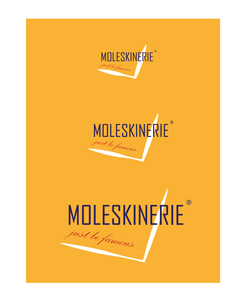 moleskinerie_c_2.jpg