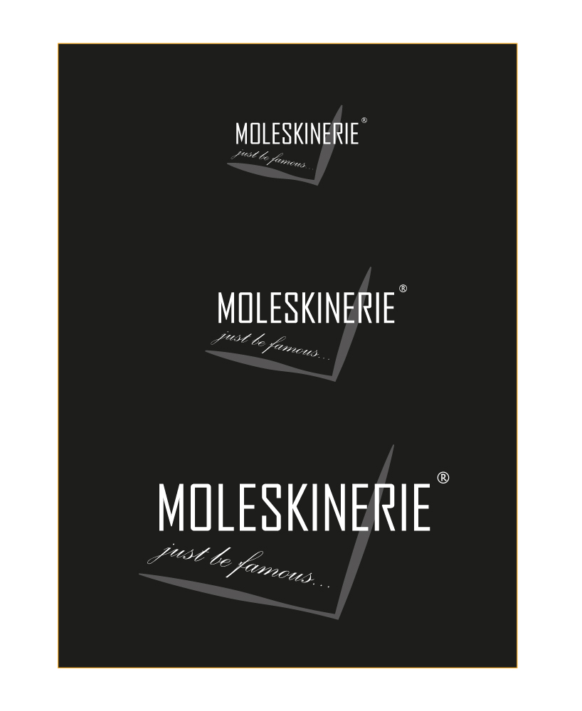 moleskinerie_c_3.jpg