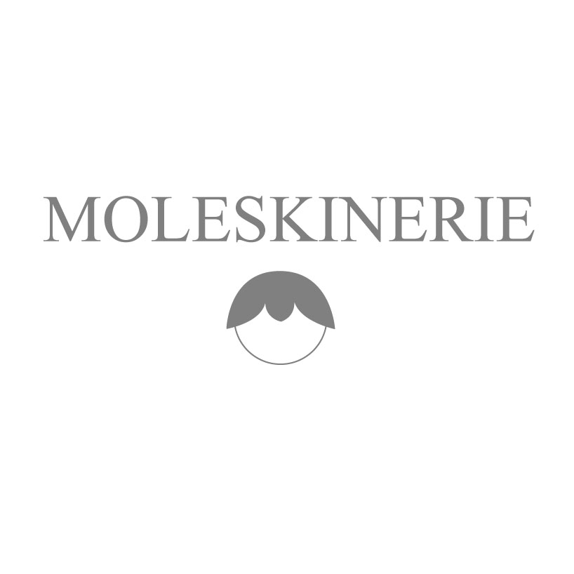moleskinerie_grey.jpg