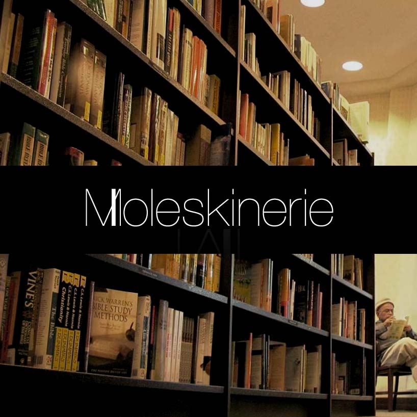 moleskinerie_livros.jpg