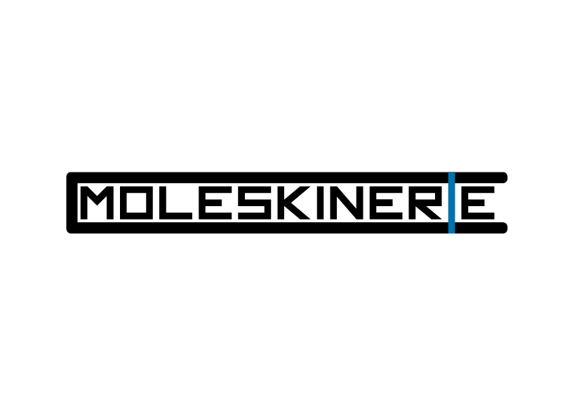 moleskinerie_v2_b.jpg