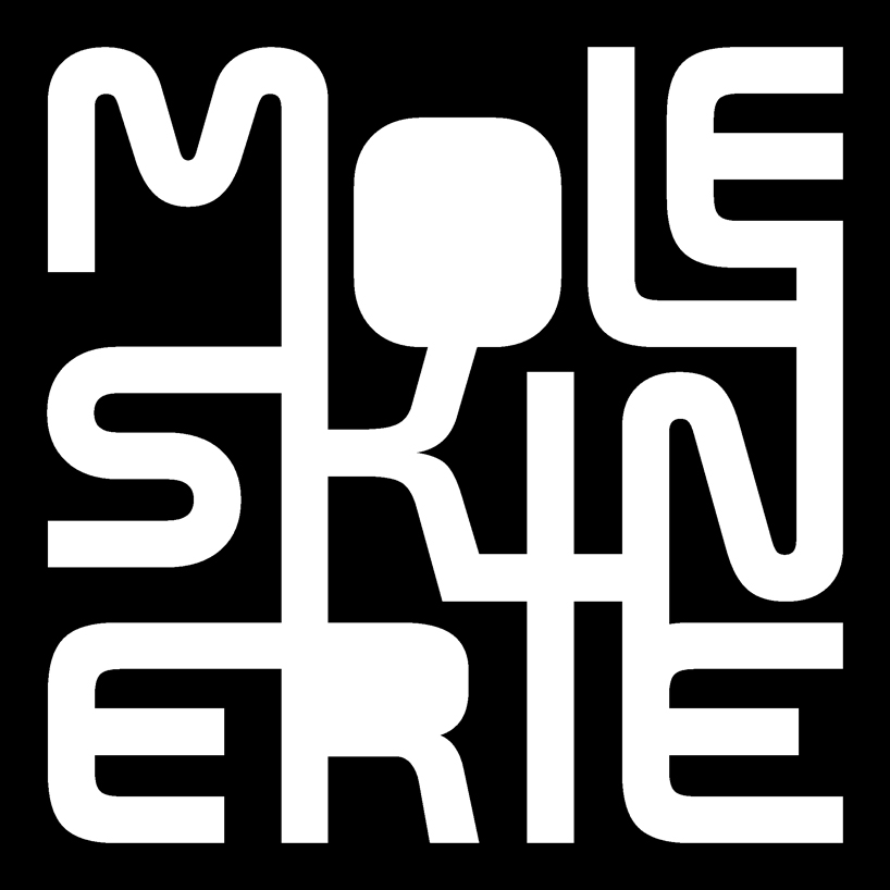 moleskinerieb2s_.jpg