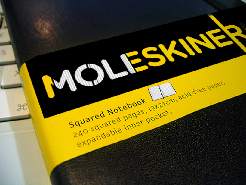 moleskinerienotebook.jpg