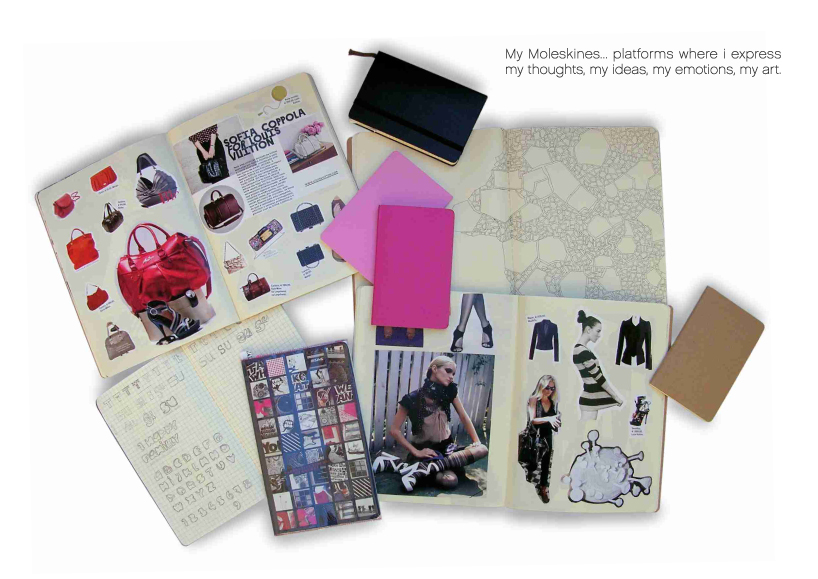 my_moleskines.jpg