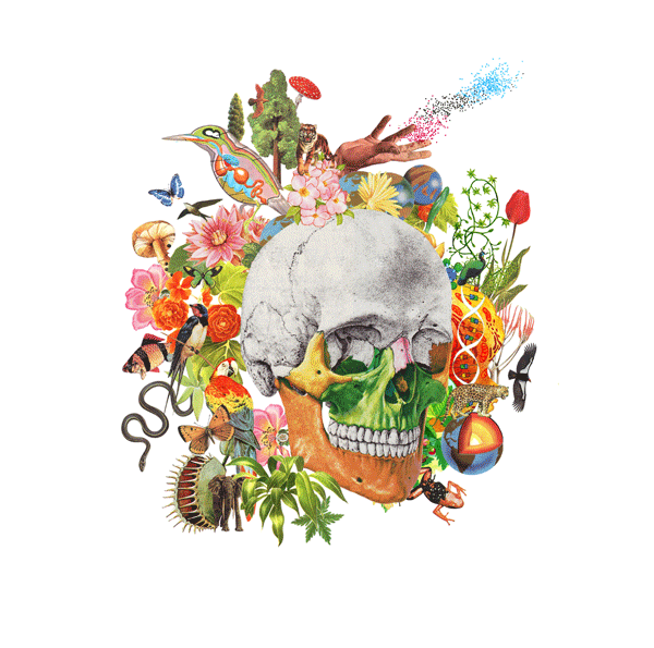 newcomplexskullbwfacepaintnature.gif