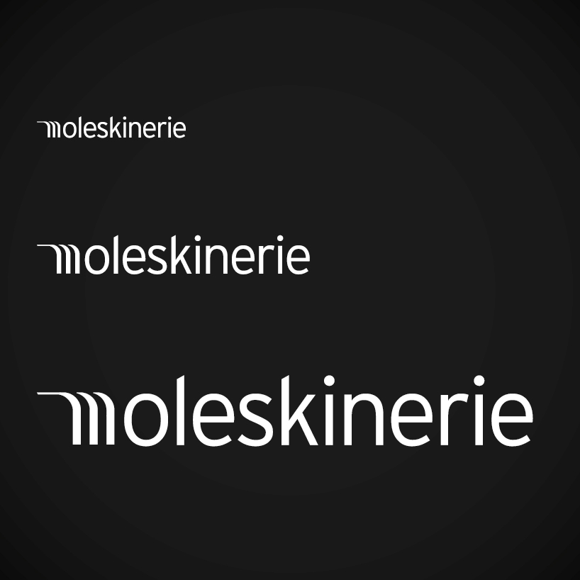 pat_moleskinerie02.jpg